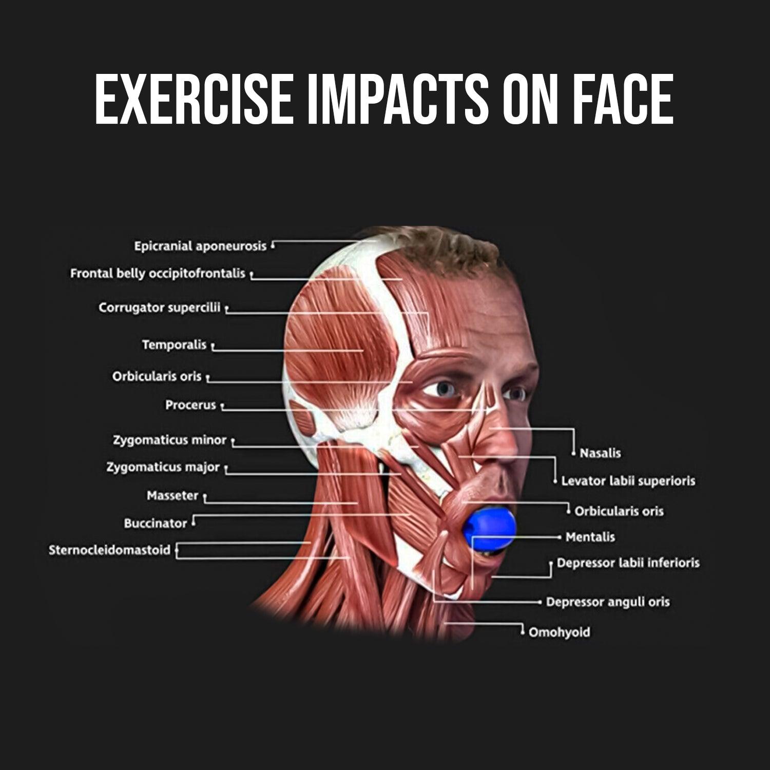 Jawline Workout Tool - Jaw Trainer Silica Gel Jaw Line Jaw Exerciser Face Neck Mouth Toning Jawrsize Training Ball Personal Care - Tophatter Daily Deals