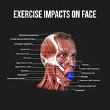 Jawline Workout Tool - Jaw Trainer Silica Gel Jaw Line Jaw Exerciser Face Neck Mouth Toning Jawrsize Training Ball Personal Care - Tophatter Daily Deals