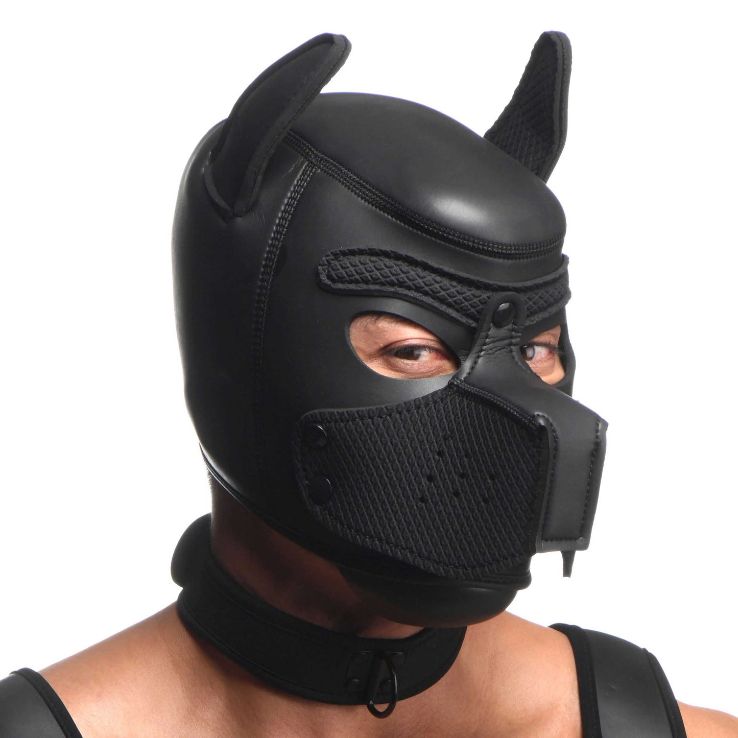 Master Series Full Pup Arsenal Set Black Neoprene Puppy Hood Chest Harness Collar Leash and Arm Bands > Sex Toys > Animal Play - Tophatter Daily Deals