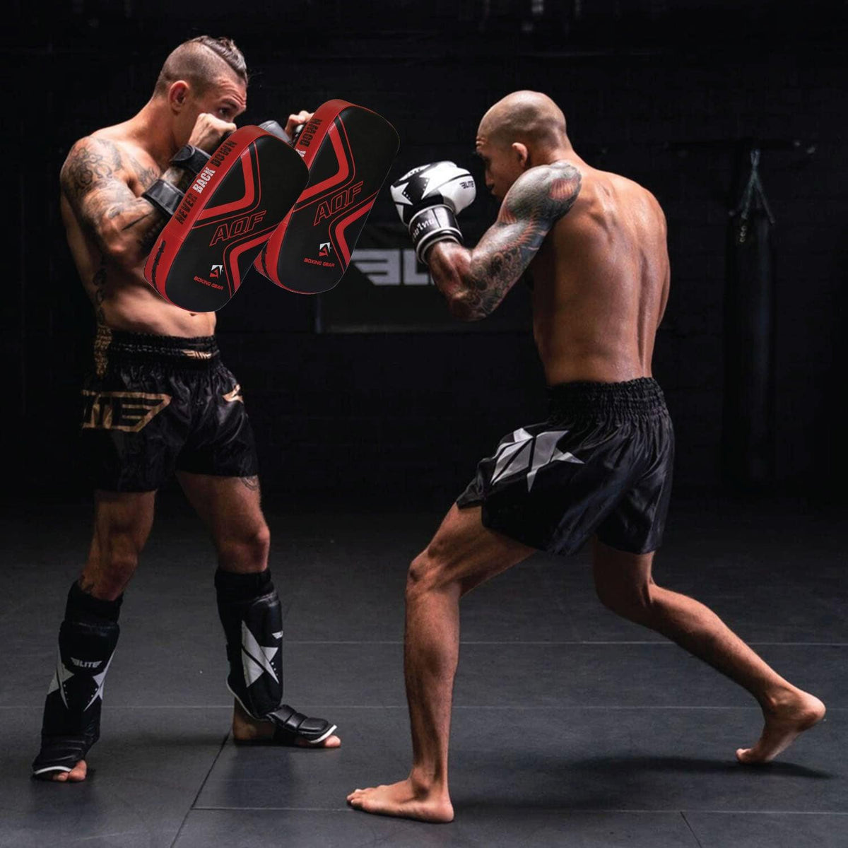 Thai Boxing Pads - Thai Kick Pad Strike Shield Twin 2 Pack - PRO Curved Pair Pads Boxing Karate MMA Training Equipment Muay Thai Focus Hook Sports & Outdoor - Tophatter Daily Deals