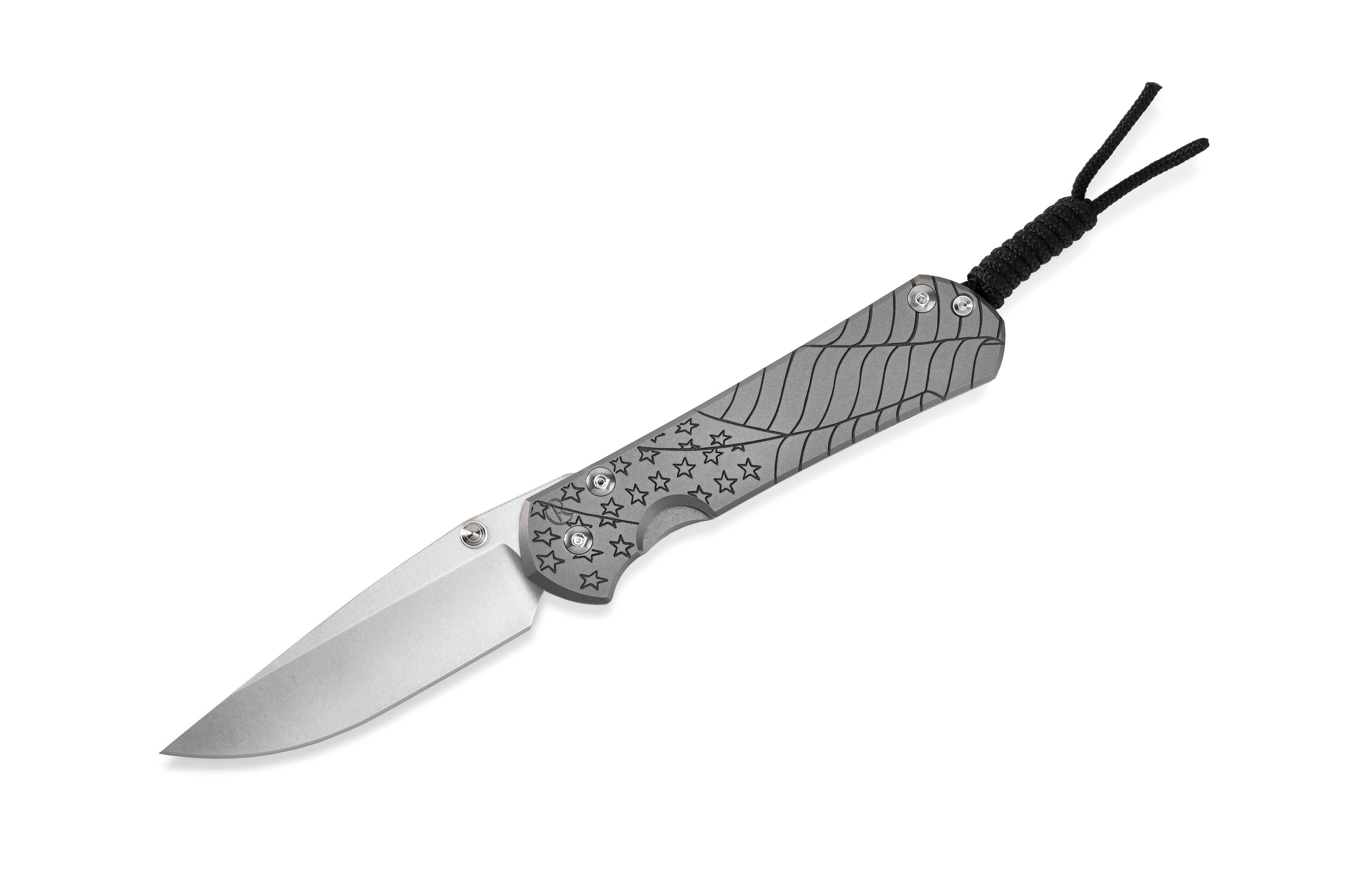 Chris Reeve - Large Sebenza 31 LEFT Handed - 2022 CGG "Forever Flag" - Drop Point - Glass Blasted - L31-1691 Collectors - Tophatter Daily Deals