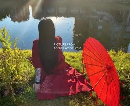 LED Chinese Japan Yarn Oiled Paper Silk Cloth Umbrella Costume Ancient Princess Umbrella Drama White Craft Umbrella Cosplay Red tassels - Tophatter Daily Deals