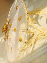 LED Chinese Japan Yarn Oiled Paper Silk Cloth Umbrella Costume Ancient Princess Umbrella Drama White Craft Umbrella Cosplay - Tophatter Daily Deals