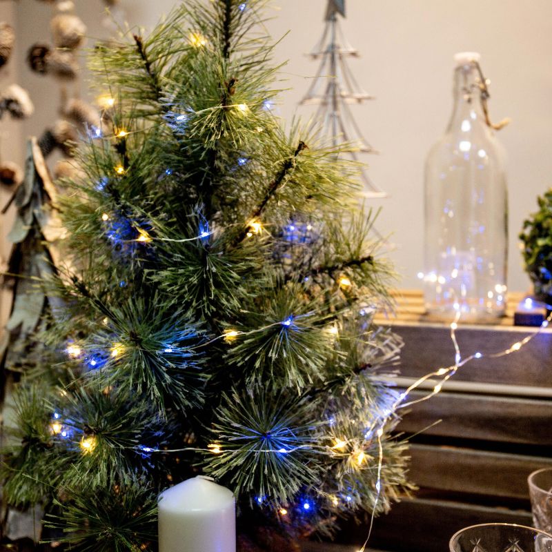 LED String Lights Indoor Outdoor Fairy Holiday Decor - Tophatter Daily Deals
