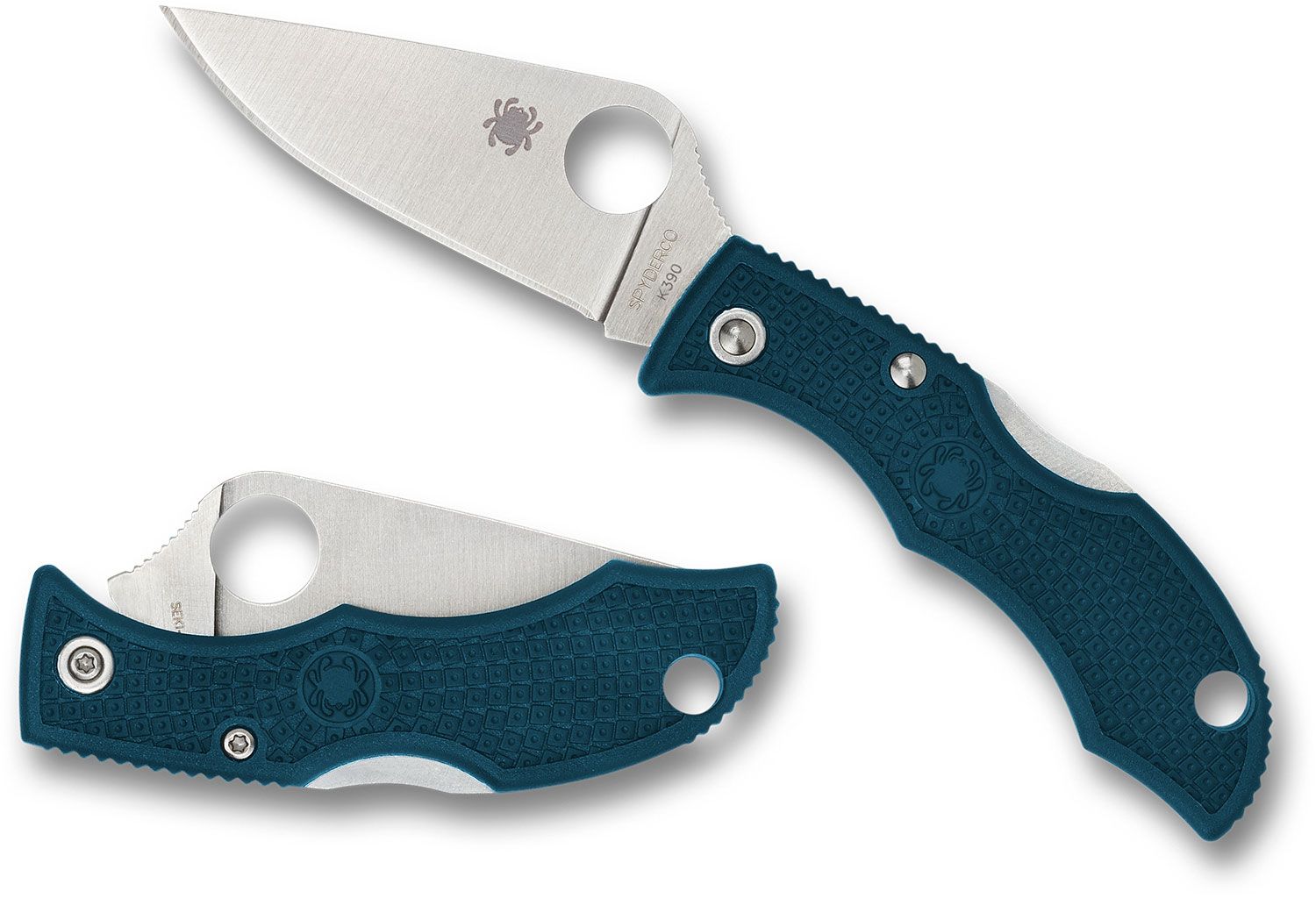 Spyderco LadyBug - Blue FRN - K390 Steel - LFP3K390 Knives - Tophatter Daily Deals