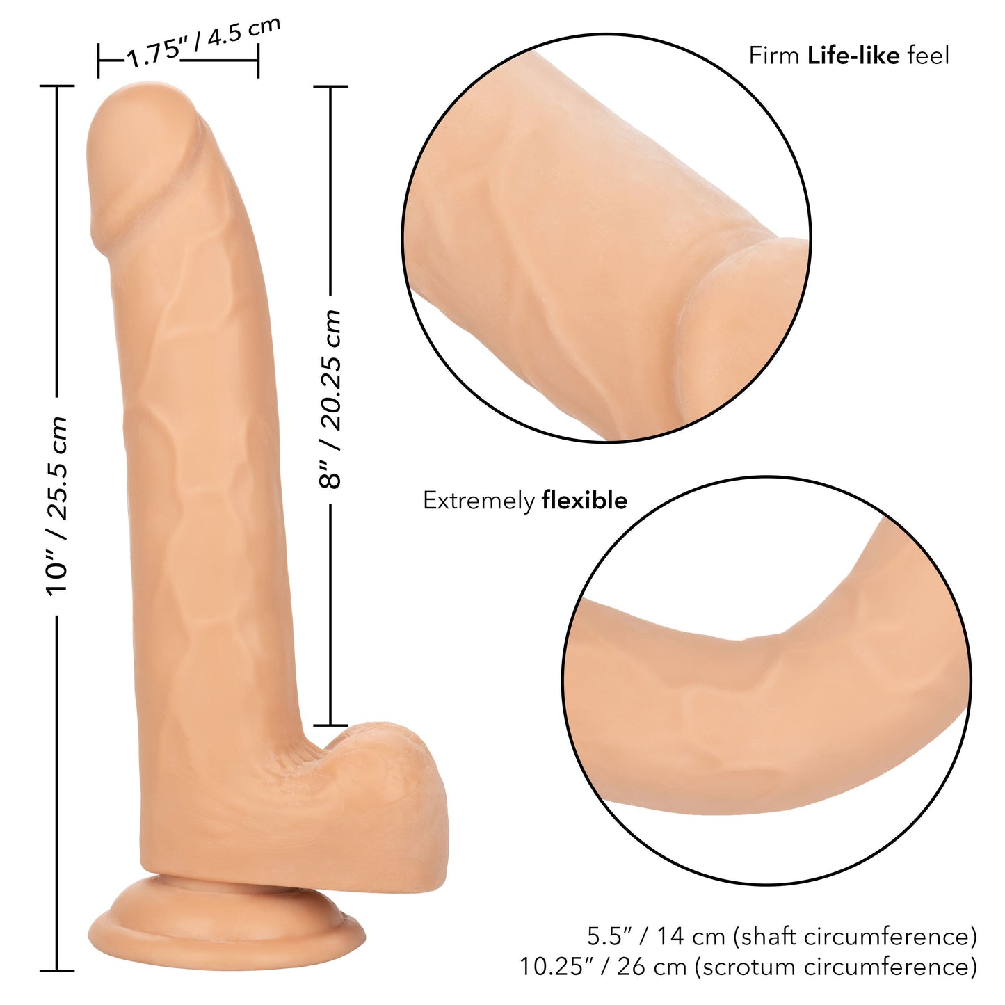 Size Queen 8 Inch Realistic Dong in Ivory > Dildos > Realistic Dildos - Tophatter Daily Deals