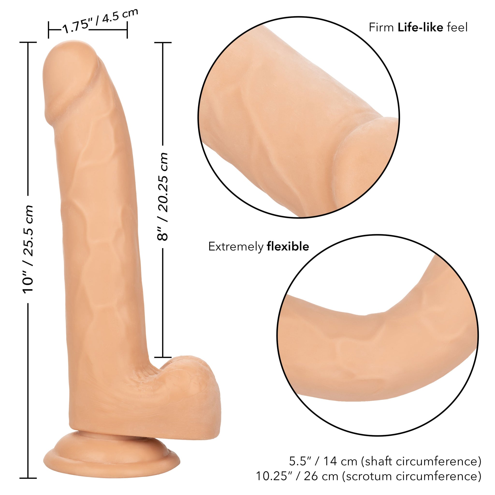 Size Queen 8 Inch Realistic Dong in Ivory > Dildos > Realistic Dildos - Tophatter Daily Deals