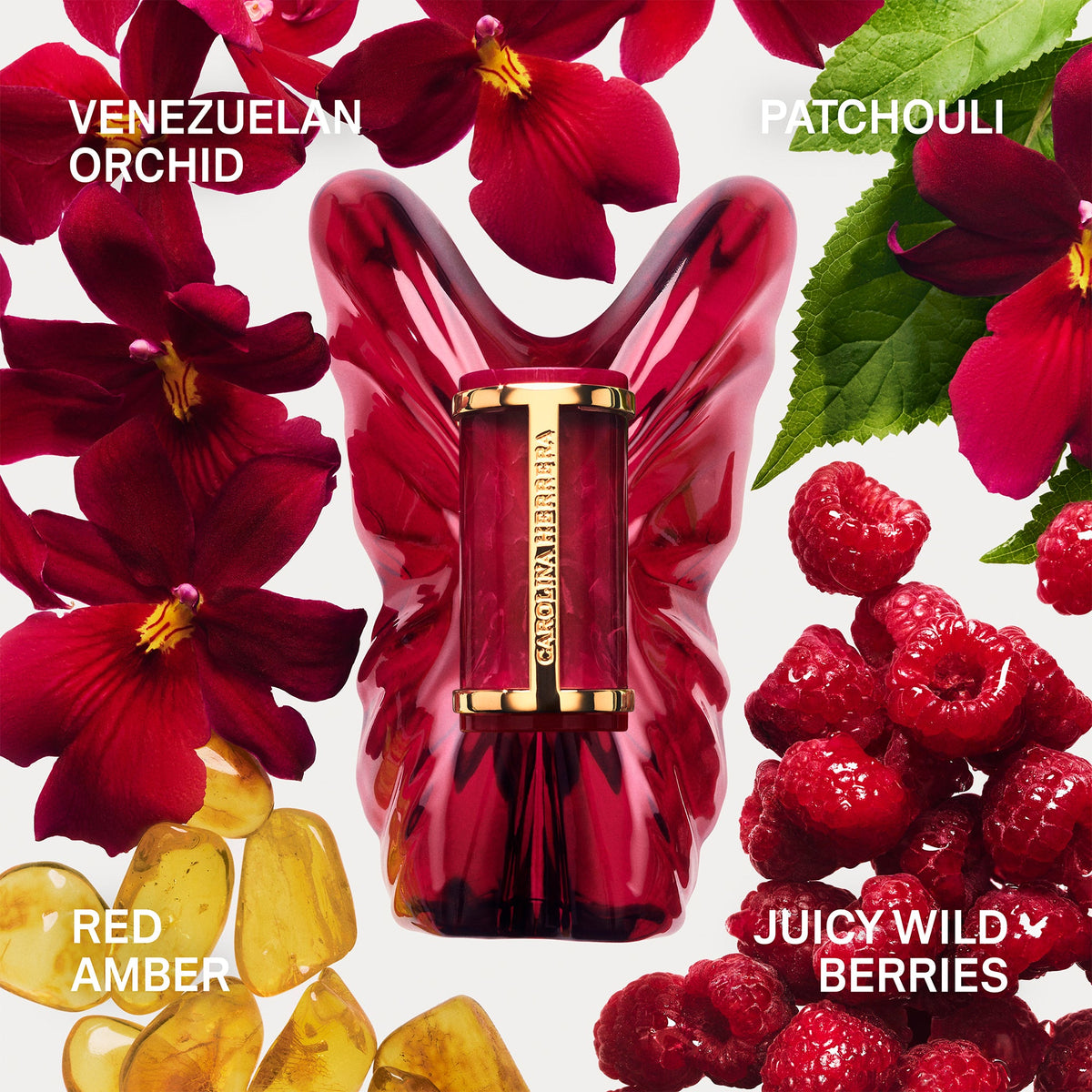 Carolina Herrera La Bomba Intensa Eau De Parfum 80ml Spray - Tophatter Daily Deals