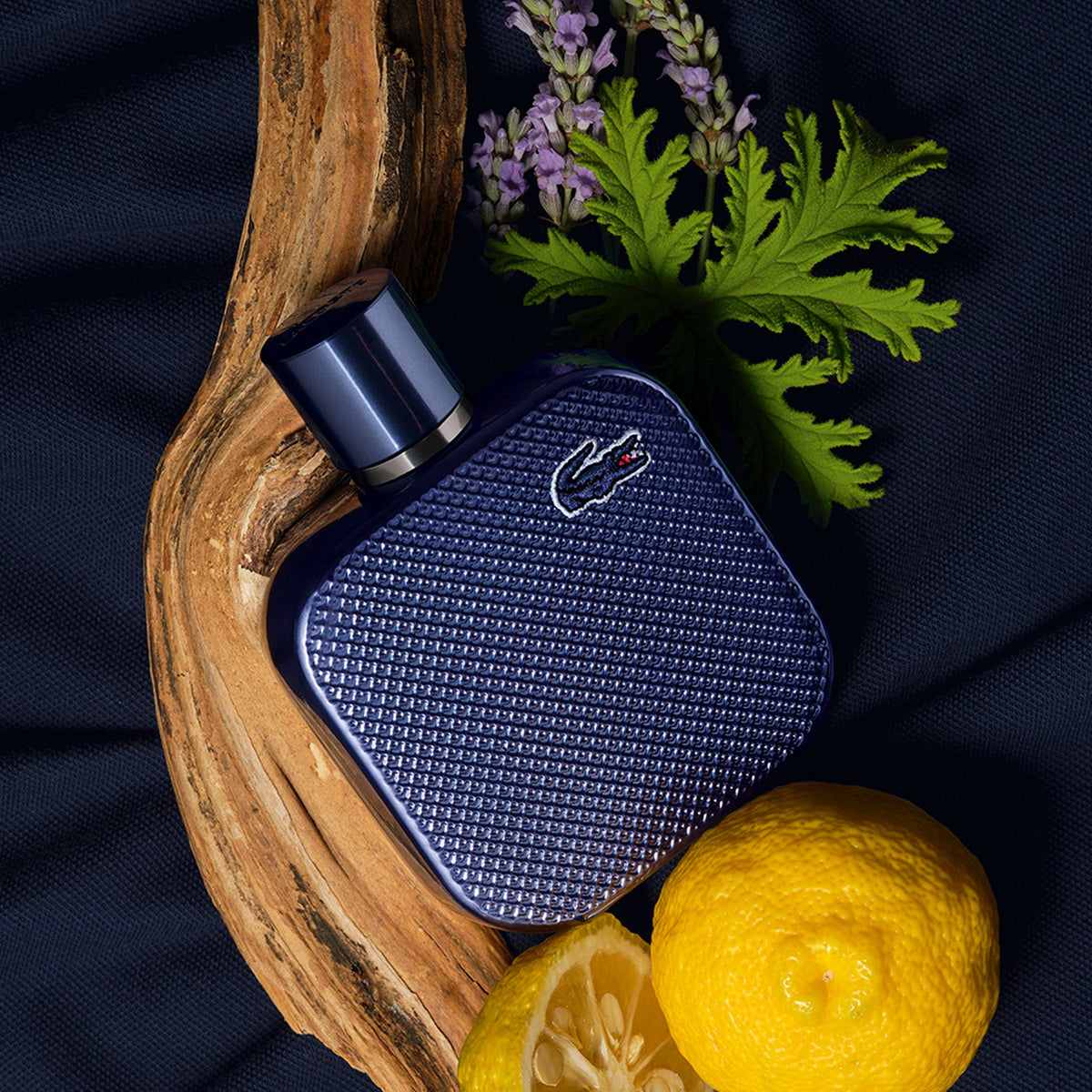 Lacoste L.12.12 Bleu Eau De Parfum 50ml Spray - Tophatter Daily Deals