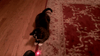 Dual Laser Pointer Pen Green + Red Military Grade 10 Miles + Star Cap + Battery + Charger 532nm Laser - Tophatter Daily Deals