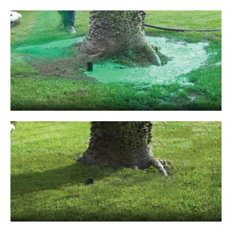 Liquid Lawn Seed Spray Eco Safe Grass Fast Repair 2025 - Tophatter Daily Deals