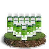 Liquid Lawn Fertilizer Fast Green Formula Fall 2025 GET x20 PACK - Tophatter Daily Deals