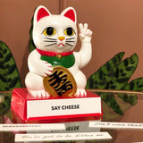 Lucky Cat Display Stand - Tophatter Daily Deals