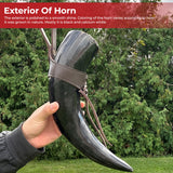 Medieval Norwegian Viking Drinking Horn 24oz historical period - Tophatter Daily Deals