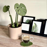 Monstera Deliciosa Coaster Set Decor - Tophatter Daily Deals