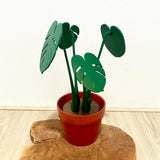 Monstera Deliciosa Coaster Set Decor - Tophatter Daily Deals