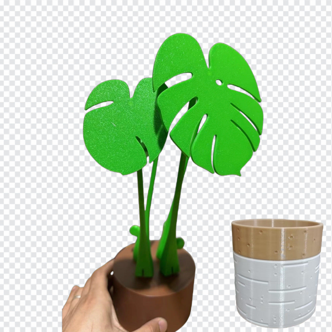 Monstera Deliciosa Coaster Set Green With Printing Basin Decor - Tophatter Daily Deals
