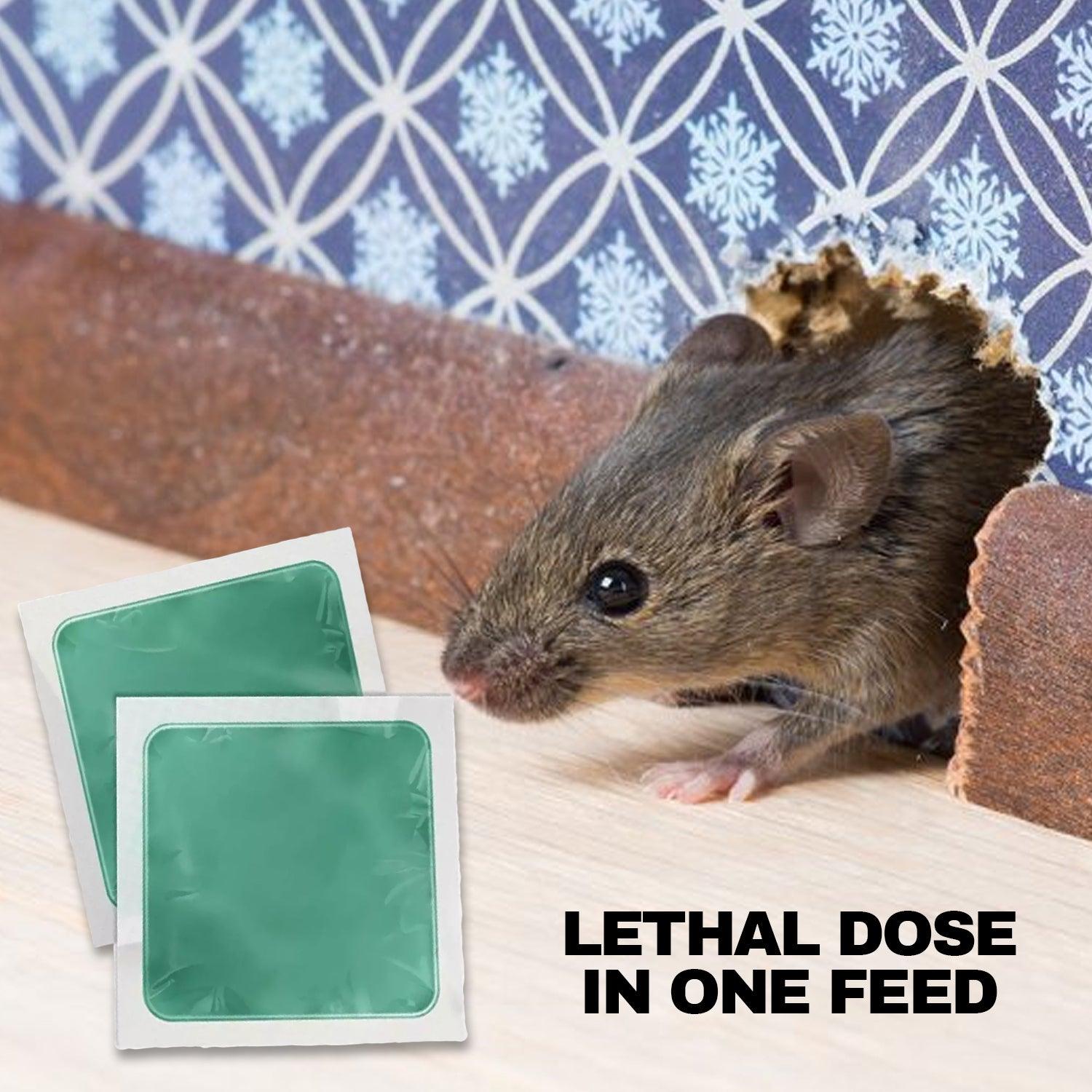 Mouse Killer Poison - 150g Rat Killer Poison Bait Deadfast Strong For Rodents Max Strength Home - Tophatter Daily Deals