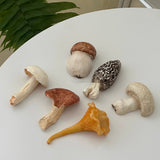 Mushroom Chopsticks Holder Chopsticks Holder - Tophatter Daily Deals