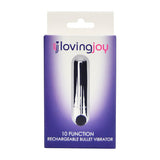Loving Joy 10 Function Rechargeable Bullet Vibrator (Silver) > Vibrators > Mini Vibrators - Tophatter Daily Deals