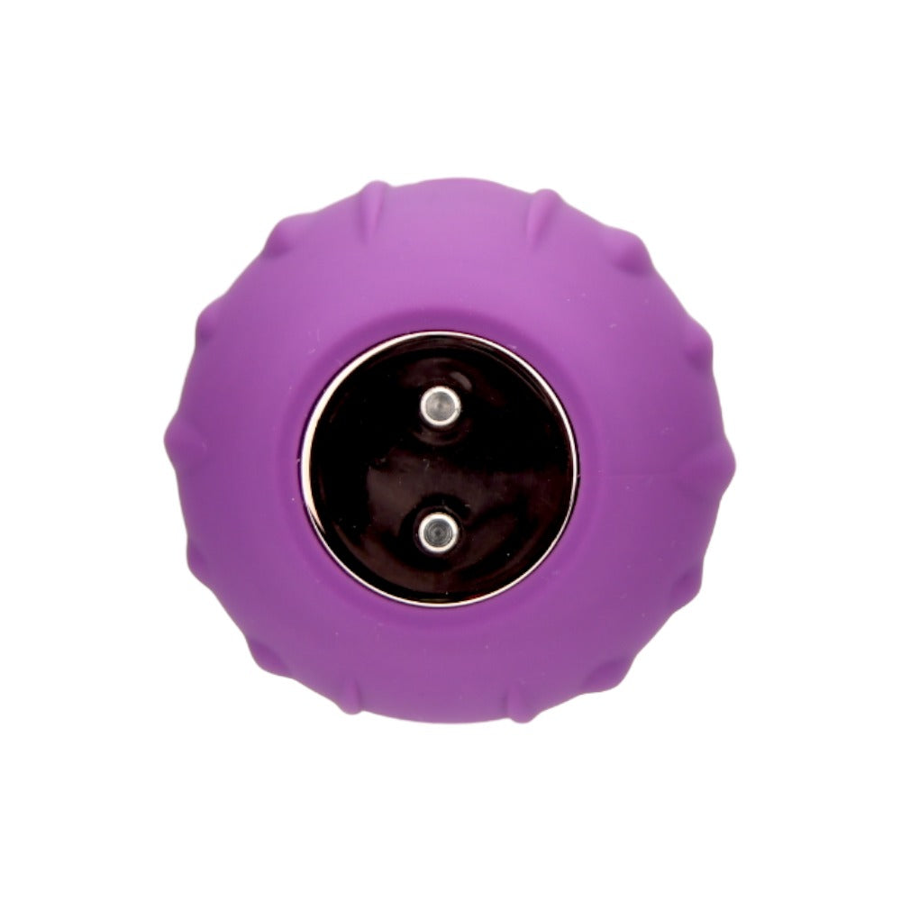 Loving Joy Rose Licking – Waterproof USB Rechargeable Clitoral Vibrator > Sex Toys For Ladies > Rose Stimulators - Tophatter Daily Deals