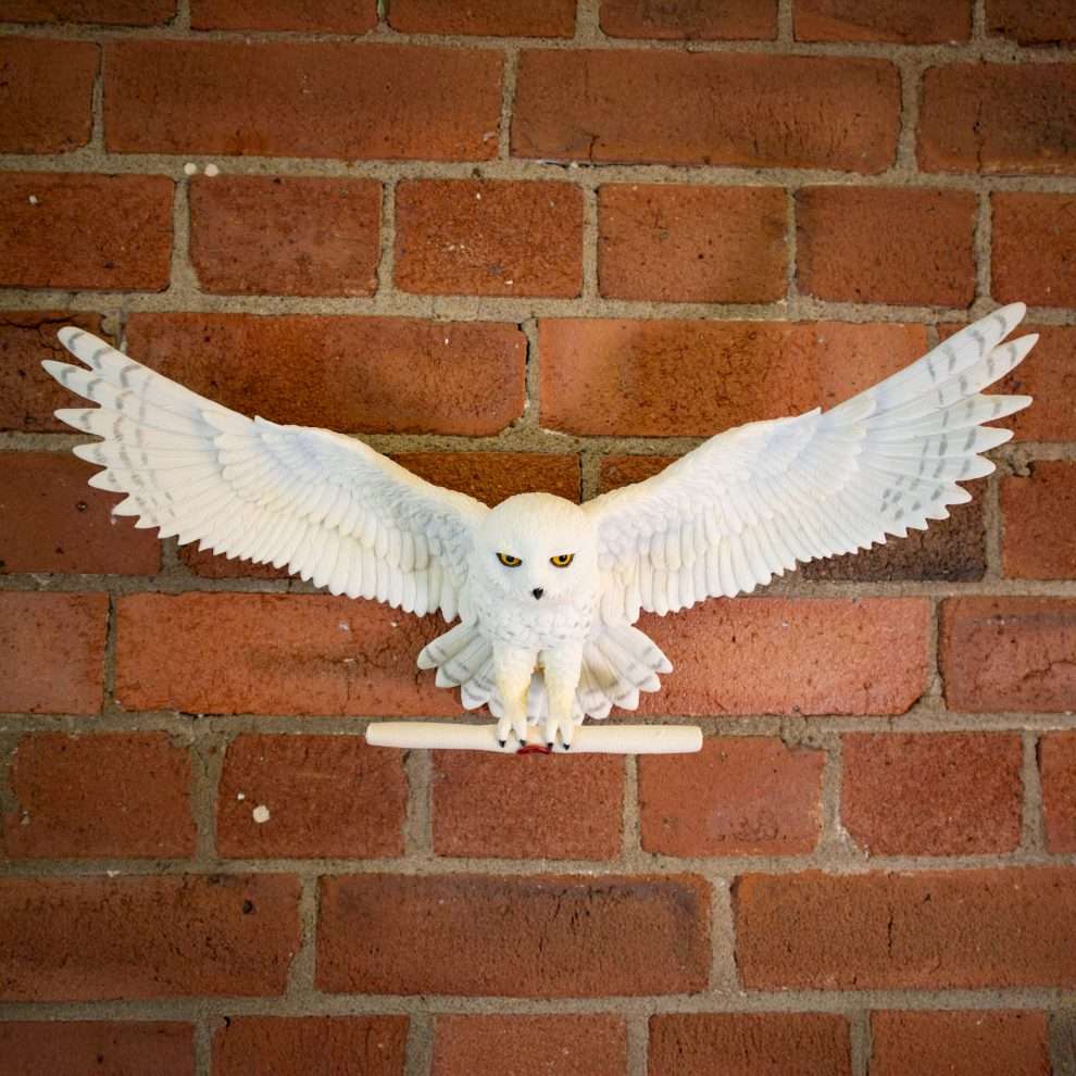 Harry Potter – Official Hedwig Owl Post Wall Décor Wall Decoration - Tophatter Daily Deals
