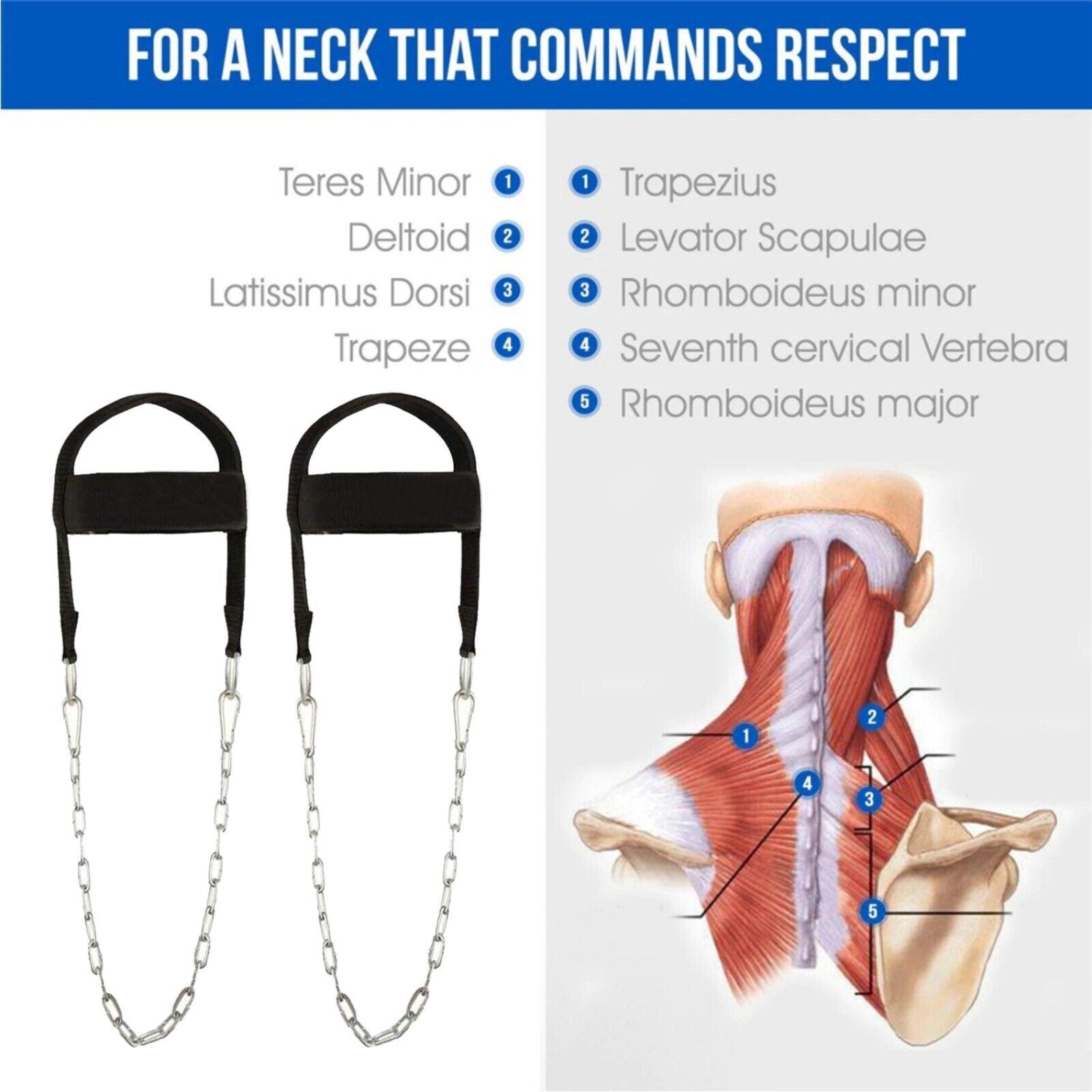 Neck Exercise Harness - Head Harness Special Dipping For Neck Exercise Weight lifting Exercise & Fitness - Tophatter Daily Deals