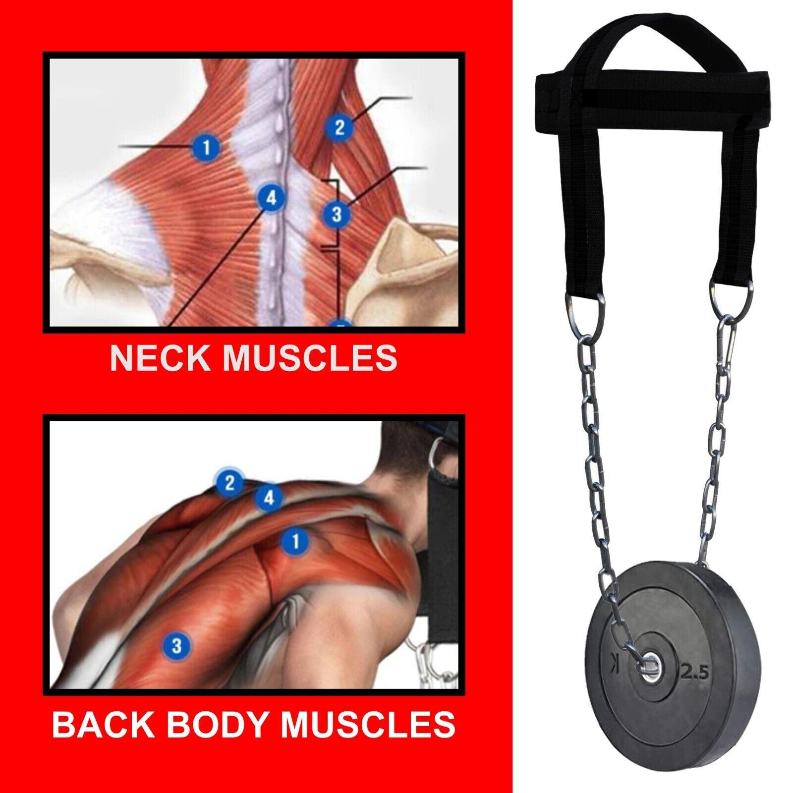 Neck Exercise Harness - Head Harness Special Dipping For Neck Exercise Weight lifting Exercise & Fitness - Tophatter Daily Deals