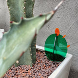 Acrylic Cactus Desktop Decor 0 - Tophatter Daily Deals