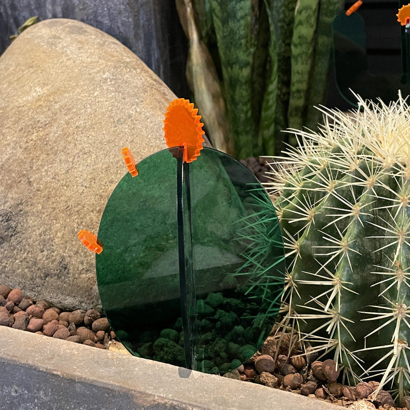 Acrylic Cactus Desktop Decor Ellipse 0 - Tophatter Daily Deals
