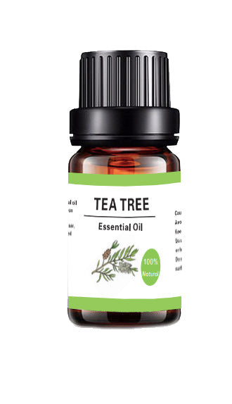 10ML Aromatherapy Water Soluble Essential Oil Plant Diffuse Essential Tea Tree Oil 0 - Tophatter Daily Deals