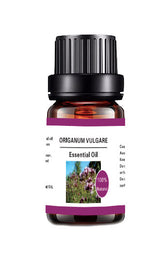 10ML Aromatherapy Water Soluble Essential Oil Plant Diffuse Essential Oil Of Oregano Oil 0 - Tophatter Daily Deals
