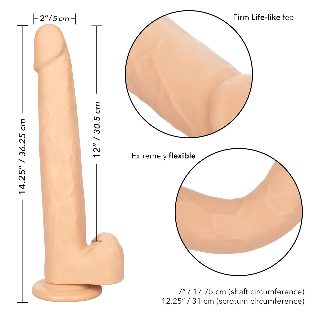 Size Queen 12 Inch Realistic Dildo – Firm 30.5 Cm Dildo > Dildos > Large Dildos - Tophatter Daily Deals