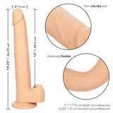 Size Queen 12 Inch Realistic Dildo – Firm 30.5 Cm Dildo > Dildos > Large Dildos - Tophatter Daily Deals