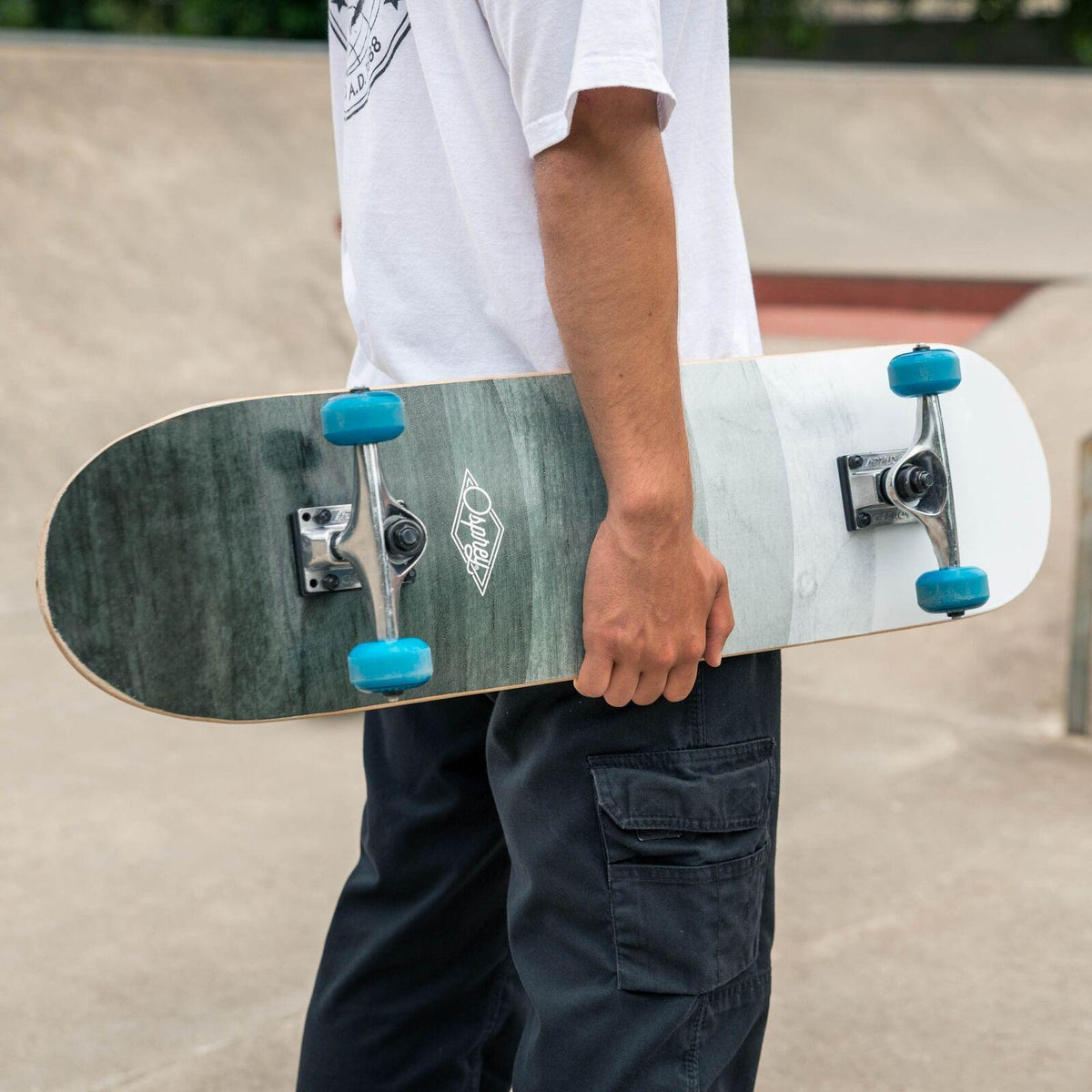 Skateboard for Beginners - 31 x 8 Inch Complete Skateboard, 8-Layer Maple Wood Deck Double Kick Standard Skateboards for Kids, Teens, Adult, Beginner Sports & Outdoor - Tophatter Daily Deals