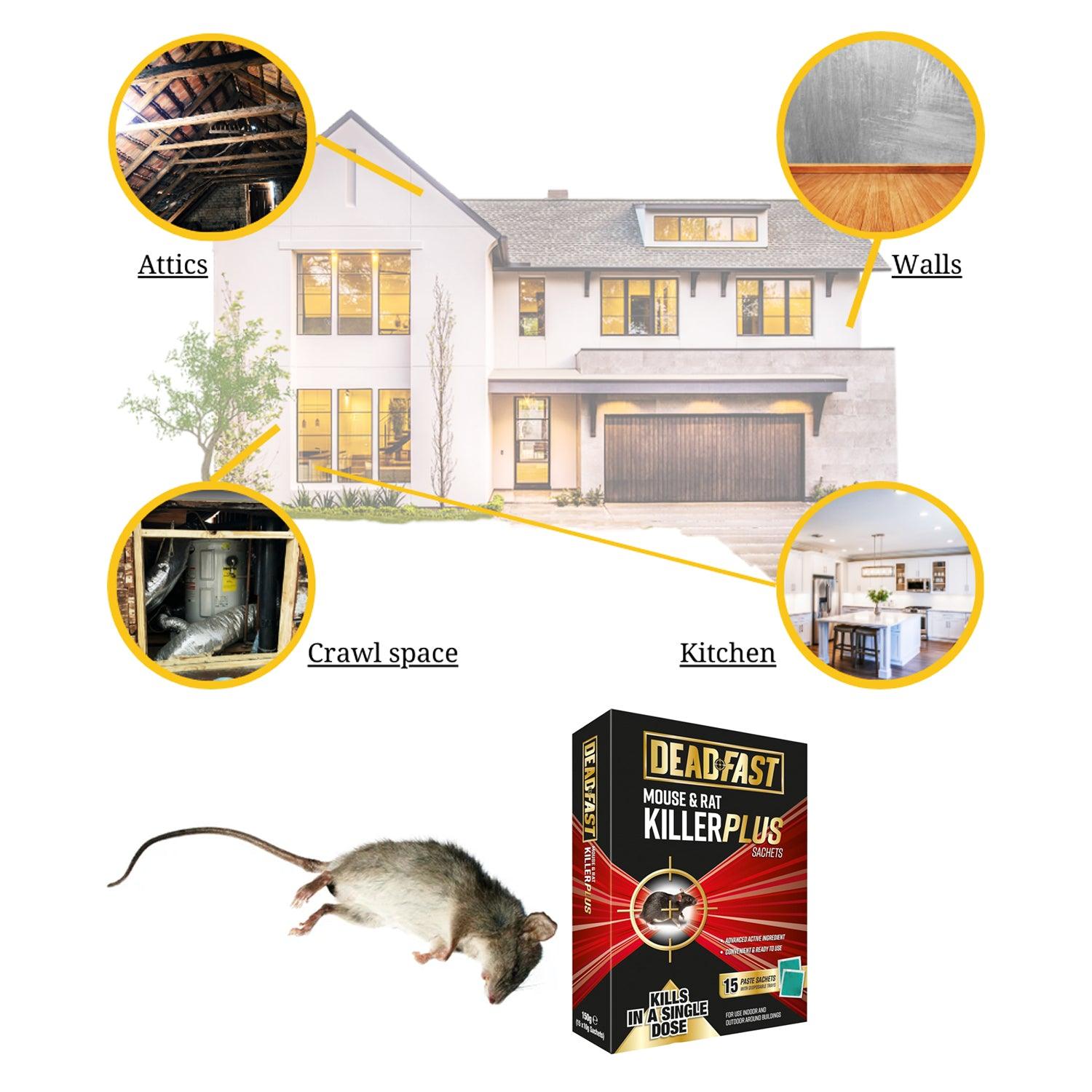 Mouse Killer Poison - 150g Rat Killer Poison Bait Deadfast Strong For Rodents Max Strength Home - Tophatter Daily Deals