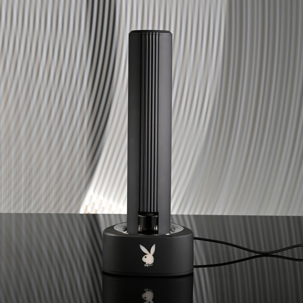 Playboy Pleasure PLEASURE ZONE Vibrator Toy > Vibrators > Standard Vibrators - Tophatter Daily Deals