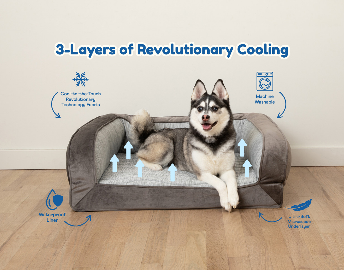 PupChill™ Cooling Bolster Dog Bed Pet Beds - Tophatter Daily Deals