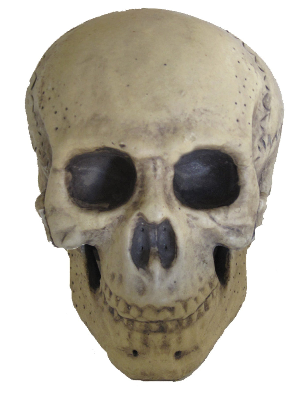 9.5" Foam Skull Prop Halloween Skeleton Decorations - Tophatter Daily Deals