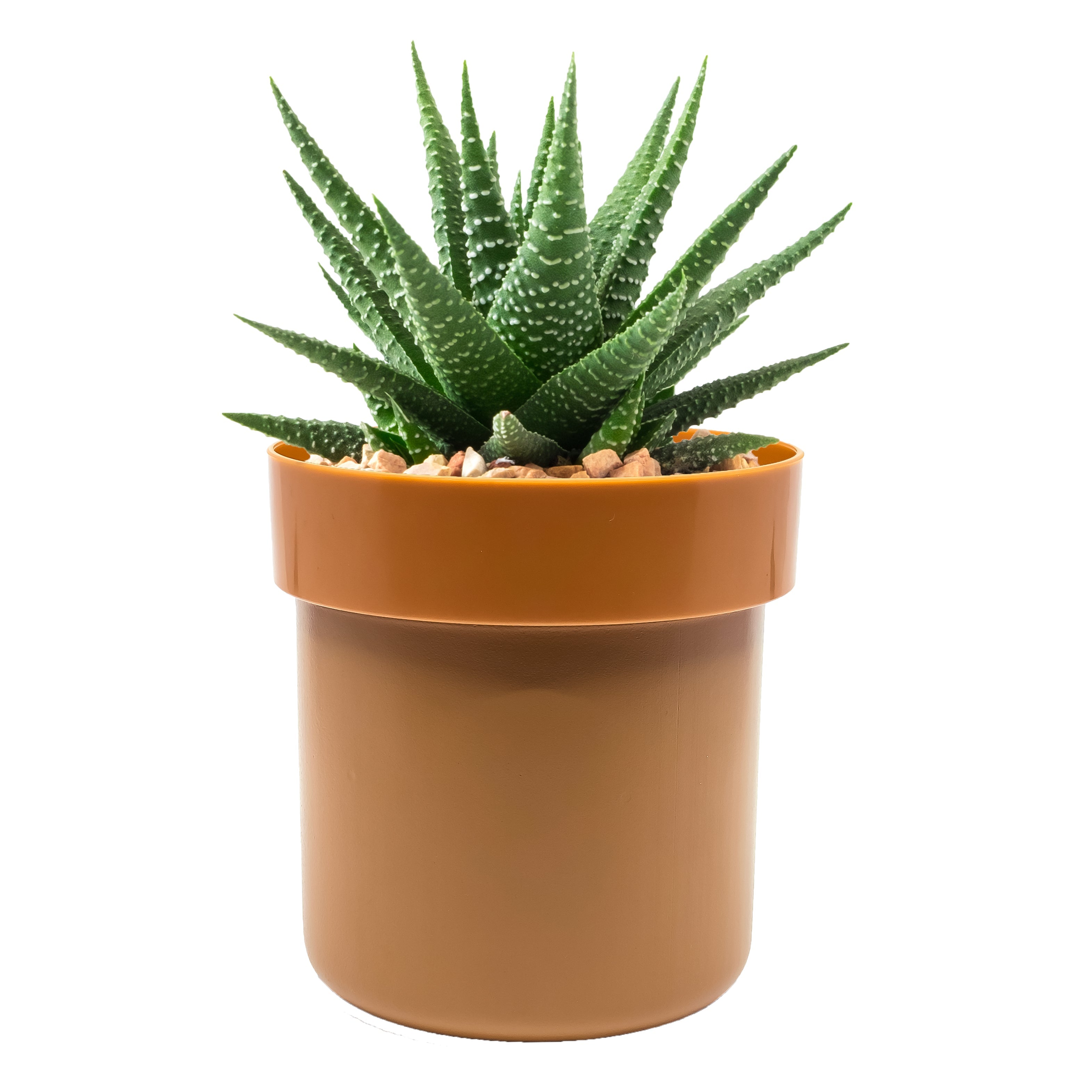 Secret Safe ™ Flower Pot With Key Lock safe - Tophatter Daily Deals