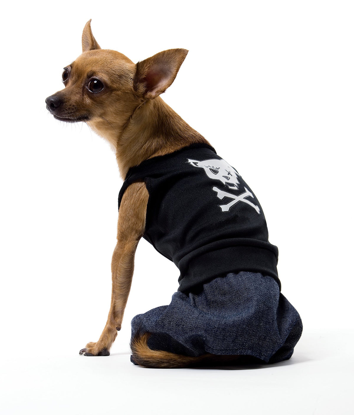 Bad Boy Dog Costume Pet Halloween Costumes - Tophatter Daily Deals