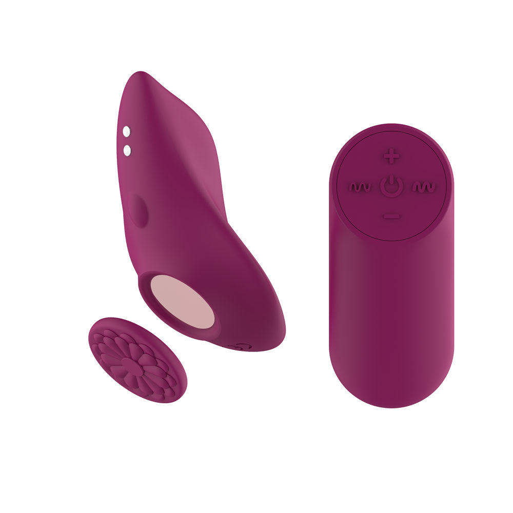 Passion Play Magnet Panty Vibe with Remote – USB Rechargeable Panty Vibrator > Sex Toys For Ladies > Panty Vibes - Tophatter Daily Deals