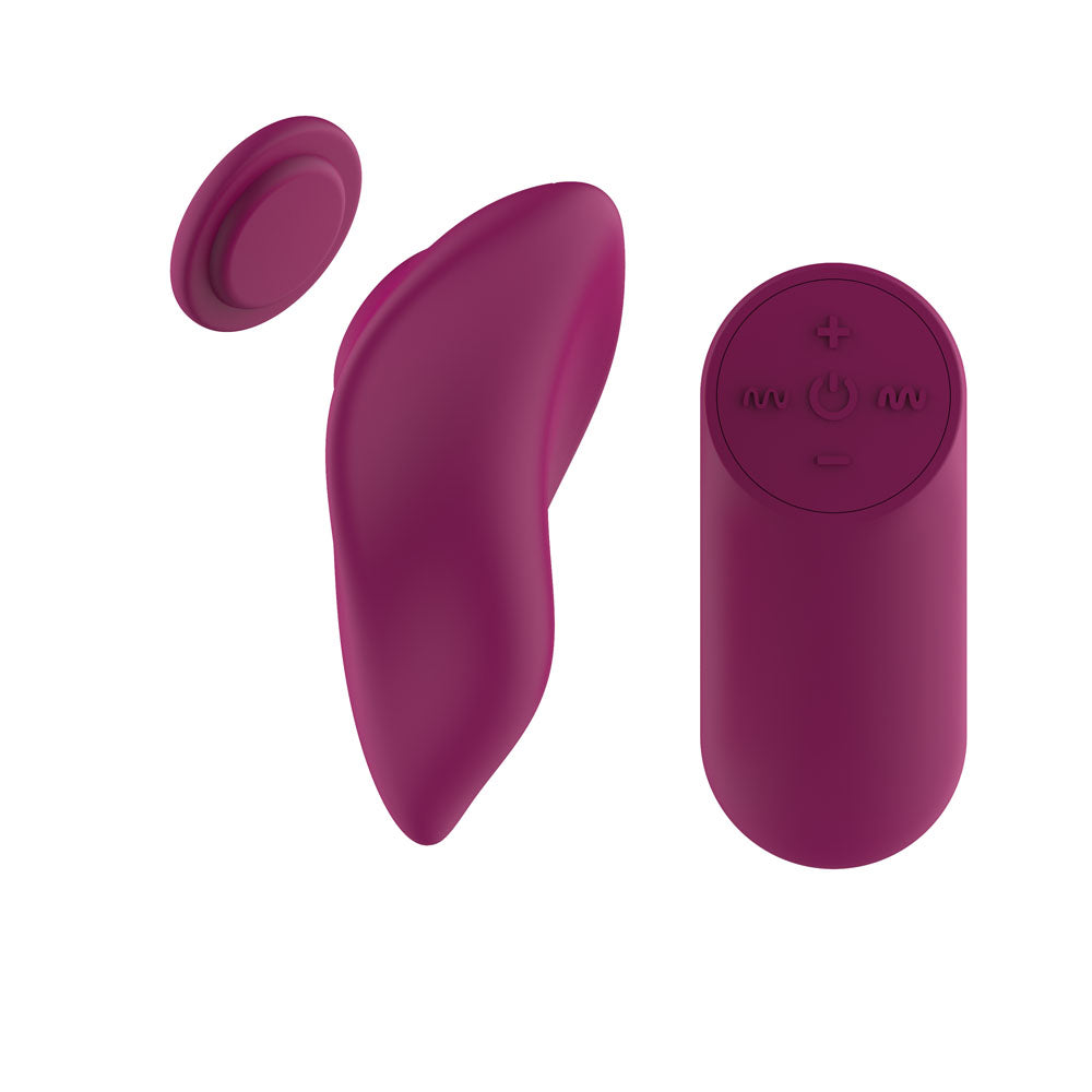 Passion Play Magnet Panty Vibe with Remote – USB Rechargeable Panty Vibrator > Sex Toys For Ladies > Panty Vibes - Tophatter Daily Deals