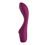 Passion Play G-Spot Vibrator with LED Light > Vibrators > Standard Vibrators - Tophatter Daily Deals