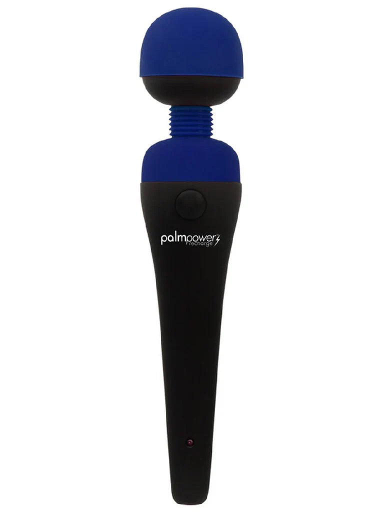 PalmPower Massage Wand Blue - Powerful Vibrator > Sex Toys > Massage Wands - Tophatter Daily Deals