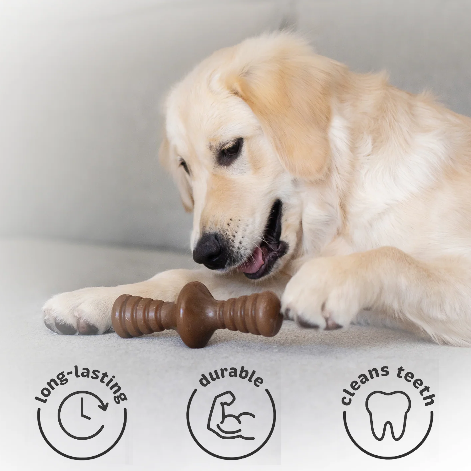 Dog Chew Toy – Tough Rubber Bone for Aggressive Chewers, Dental Care & Play pet - Tophatter Daily Deals