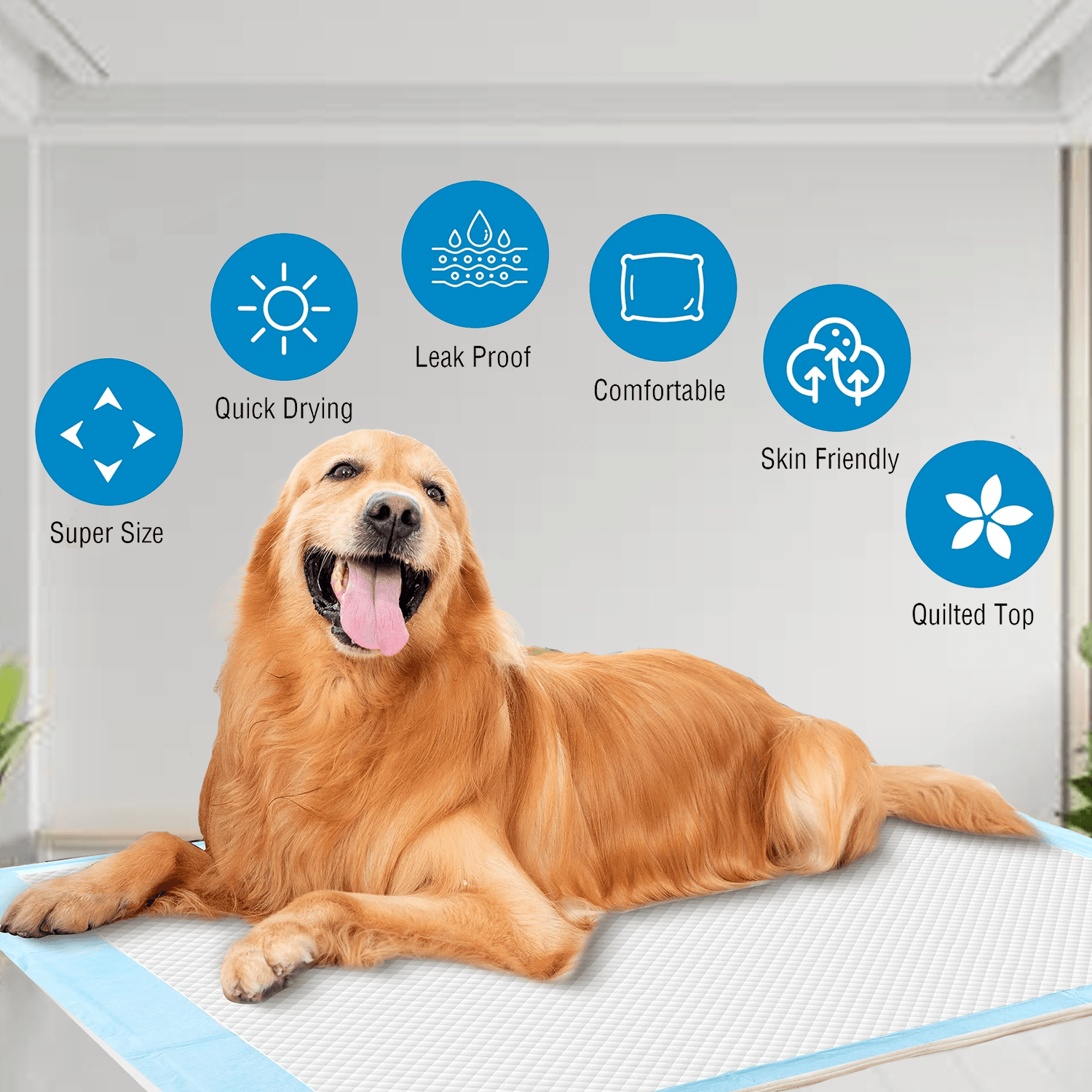 Pet Toilet Training Pads – 100pcs Super Absorbent Puppy Masts for Indoor & Outdoor Use Pads - Tophatter Daily Deals