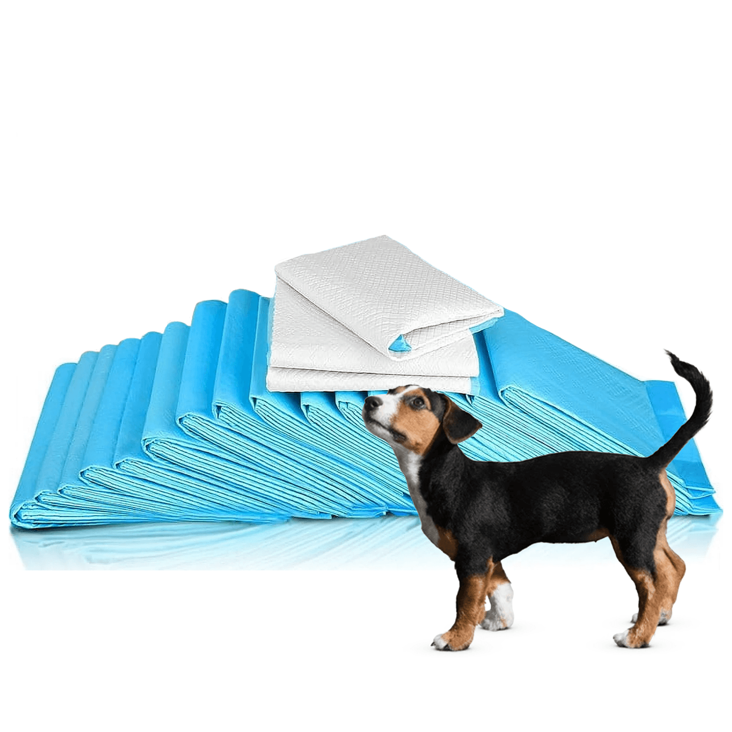 Pet Toilet Training Pads – 100pcs Super Absorbent Puppy Masts for Indoor & Outdoor Use Pads - Tophatter Daily Deals