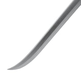 Pirate Sword (Cosplay Safe Foam) Sword - Tophatter Daily Deals