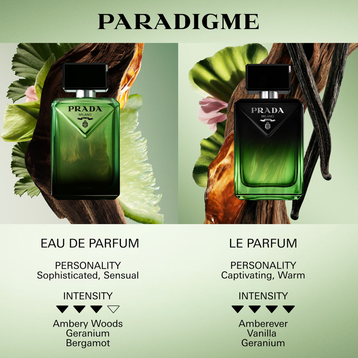 Prada Paradigme Le Parfum 100ml Spray - Tophatter Daily Deals